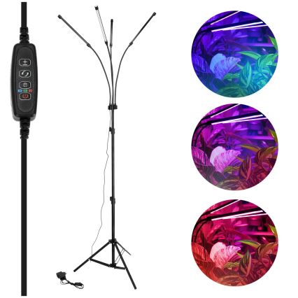 LED Dimming εύκαμπτο επιδαπέδια λάμπα για ανάπτυξη φυτών VITARO 4xLED/7,5W/230V μαύρο