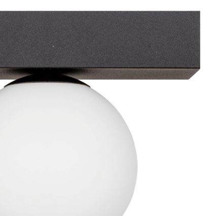 Zuma Line - Φωτιστικό οροφής 1xG9/8W/230V μαύρο