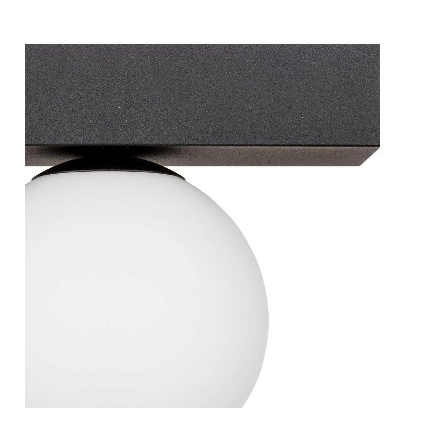 Zuma Line - Φωτιστικό οροφής 1xG9/8W/230V μαύρο