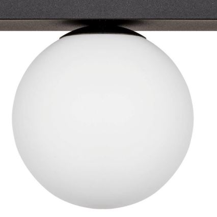 Zuma Line - Φωτιστικό οροφής 1xG9/8W/230V μαύρο