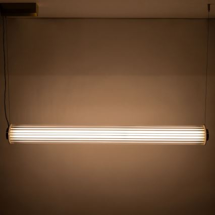 Zuma Line - Ρυθμιζόμενο LED κρεμαστό φωτιστικό με καλώδιο LED/39W/230V 2700-6500K χρυσό + τηλεχειριστήριο