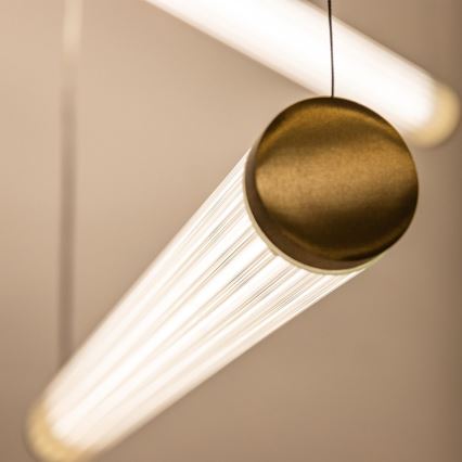 Zuma Line - Ρυθμιζόμενο LED κρεμαστό φωτιστικό με καλώδιο LED/64W/230V 2700-6500K χρυσό + τηλεχειριστήριο
