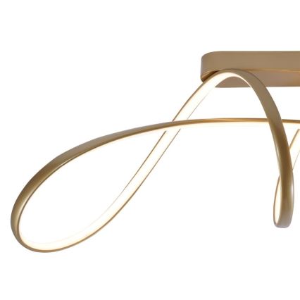 Zuma Line - LED Πλαφονιέρα οροφής LED/50W/230V 3000/4000/6000K χρυσαφί