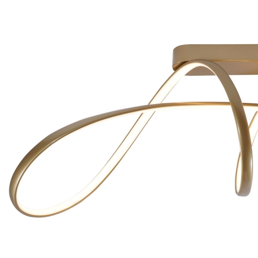 Zuma Line - LED Πλαφονιέρα οροφής LED/50W/230V 3000/4000/6000K χρυσαφί