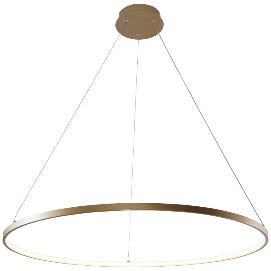 Zuma Line -  Κρεμαστό φωτιστικό οροφής LED LED/36W/230V 3000/4000/6000K διάμετρος 80 cm χρυσαφί