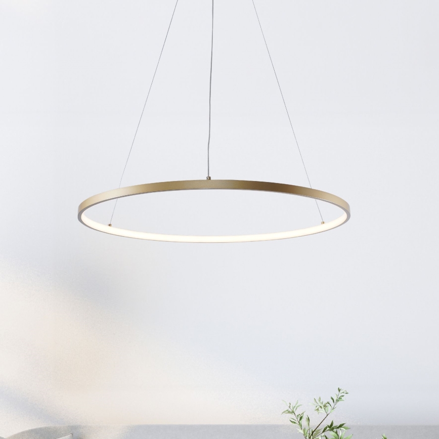 Zuma Line -  Κρεμαστό φωτιστικό οροφής LED LED/36W/230V 3000/4000/6000K διάμετρος 80 cm χρυσαφί