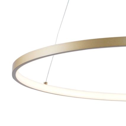 Zuma Line -  Κρεμαστό φωτιστικό οροφής LED LED/36W/230V 3000/4000/6000K διάμετρος 80 cm χρυσαφί