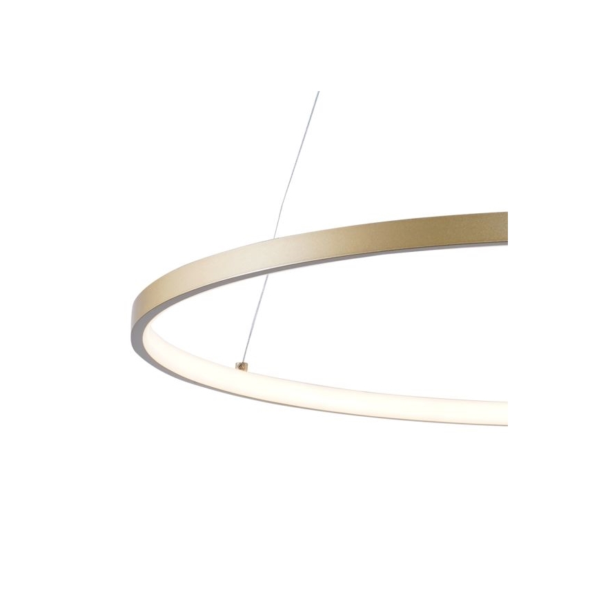 Zuma Line -  Κρεμαστό φωτιστικό οροφής LED LED/36W/230V 3000/4000/6000K διάμετρος 80 cm χρυσαφί