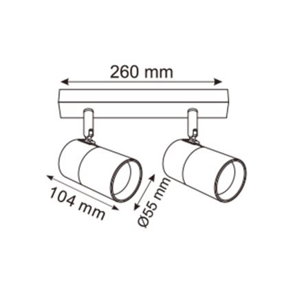 Zuma Line - Φωτιστικό σποτ 2xGU10/50W/230V μαύρο/χρυσό