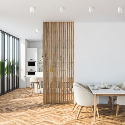 Zuma Line - Σποτ φωτιστικό 1xGU10/50W/230V λευκό