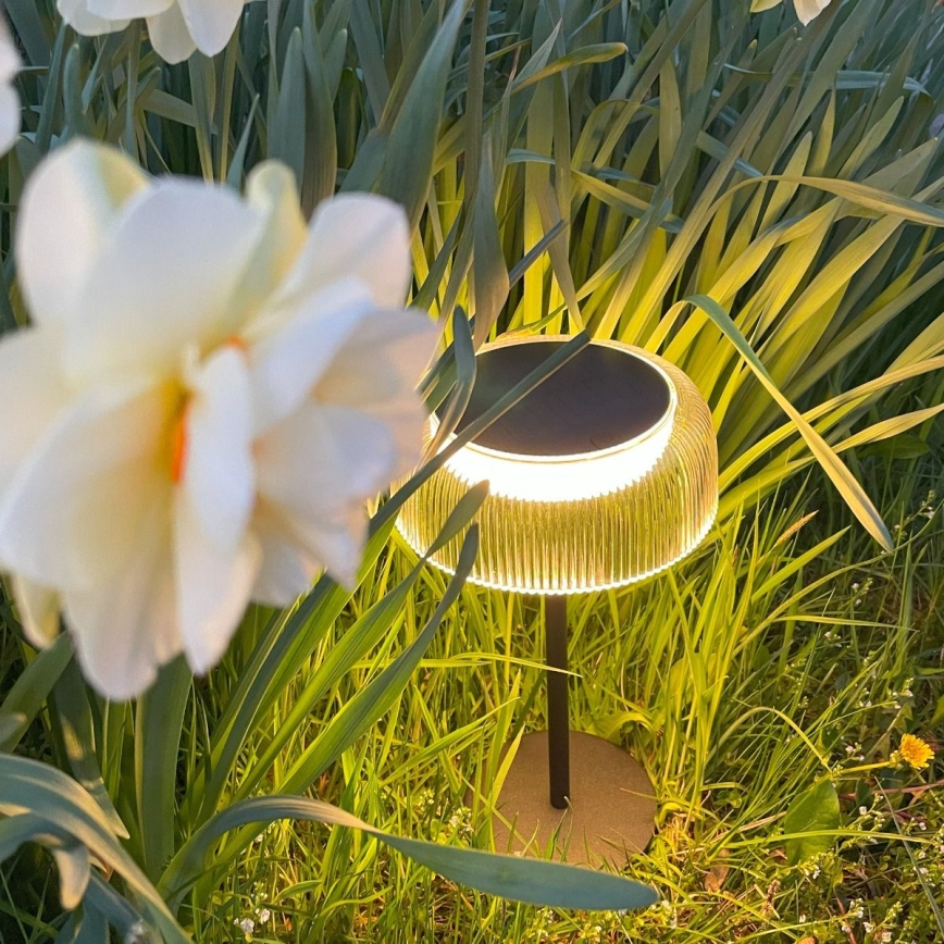 Zuma Line - Επιτραπέζιο ηλιακό φωτιστικό LED με ρύθμιση φωτεινότητας LED/2,5W/2000 mAh IP44 μαύρο