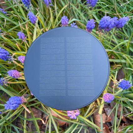 Zuma Line - LED Dimming ηλιακό επαναφορτιζόμενο Επιτραπέζιο φωτιστικό LED/2W/2000 mAh IP44 μαύρο