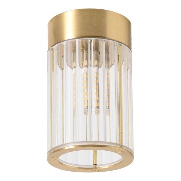 Zuma Line - Φωτιστικό σποτ 1xG9/6W/230V χρυσό