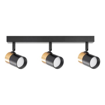 Zuma Line - Φωτιστικό σποτ 3xGU10/50W/230V μαύρο/χρυσό