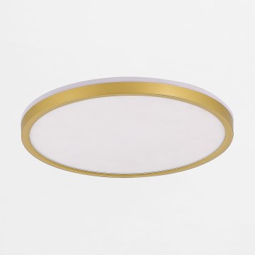 Zuma Line - LED Dimmable φωτιστικό οροφής LED/38W/230V + LED/11W 3000/4000/5500K διάμετρος 50 cm χρυσό
