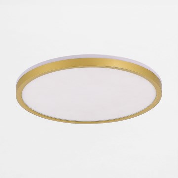 Zuma Line - LED Dimmable φωτιστικό οροφής LED/26,5W/230V + LED/6,5W 3000/4000/5500K διάμετρος 32 cm χρυσό