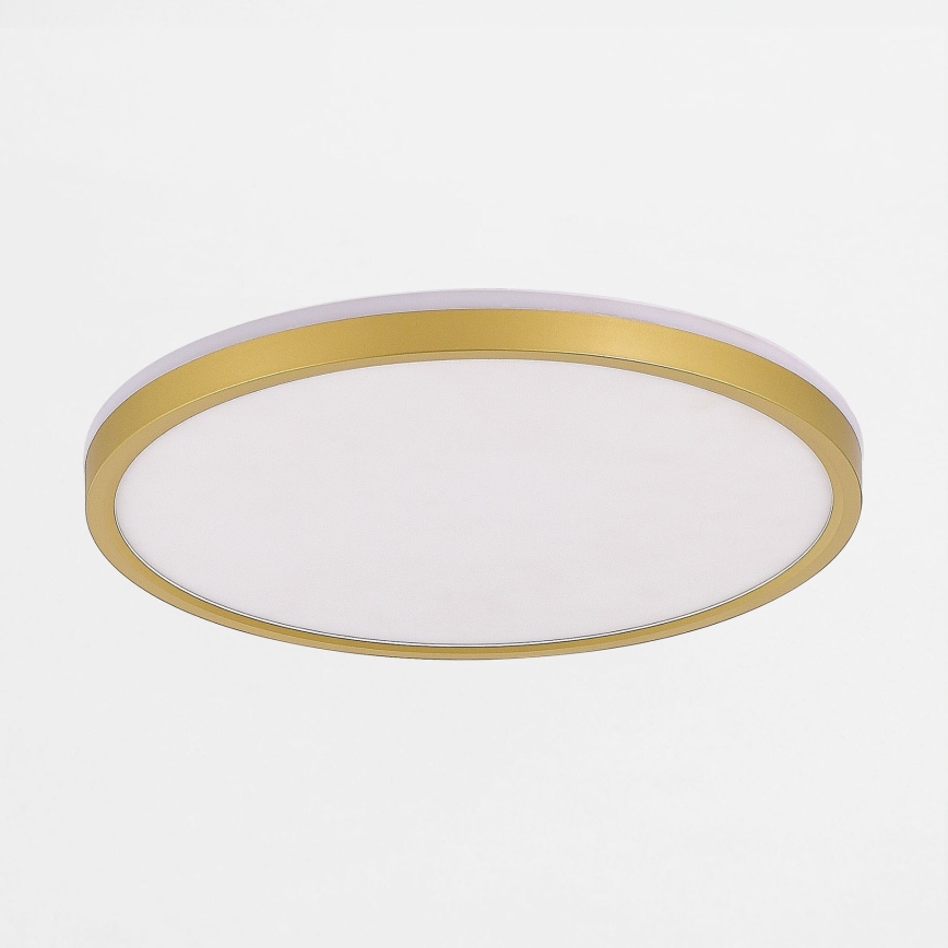 Zuma Line - LED Dimmable φωτιστικό οροφής LED/26,5W/230V + LED/6,5W 3000/4000/5500K διάμετρος 32 cm χρυσό