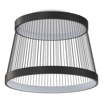 Zuma Line - LED Dimmable φωτιστικό οροφής LED/32W/230V 2700-6000K μαύρο + τηλεχειριστήριο