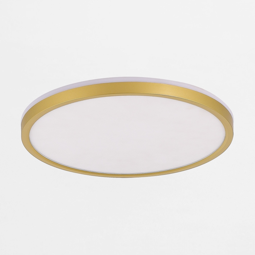 Zuma Line - LED Dimmable φωτιστικό οροφής LED/38W/230V + LED/11W 3000/4000/5500K διάμετρος 50 cm χρυσό