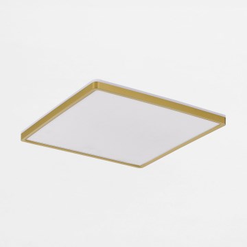 Zuma Line - LED Dimmable φωτιστικό οροφής LED/38W/230V + LED/12W 3000/4000/5500K 40x40 cm χρυσό