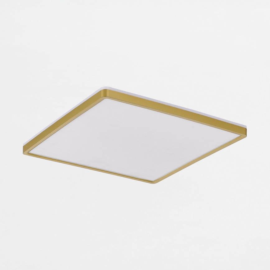 Zuma Line - LED Dimmable φωτιστικό οροφής LED/38W/230V + LED/12W 3000/4000/5500K 40x40 cm χρυσό