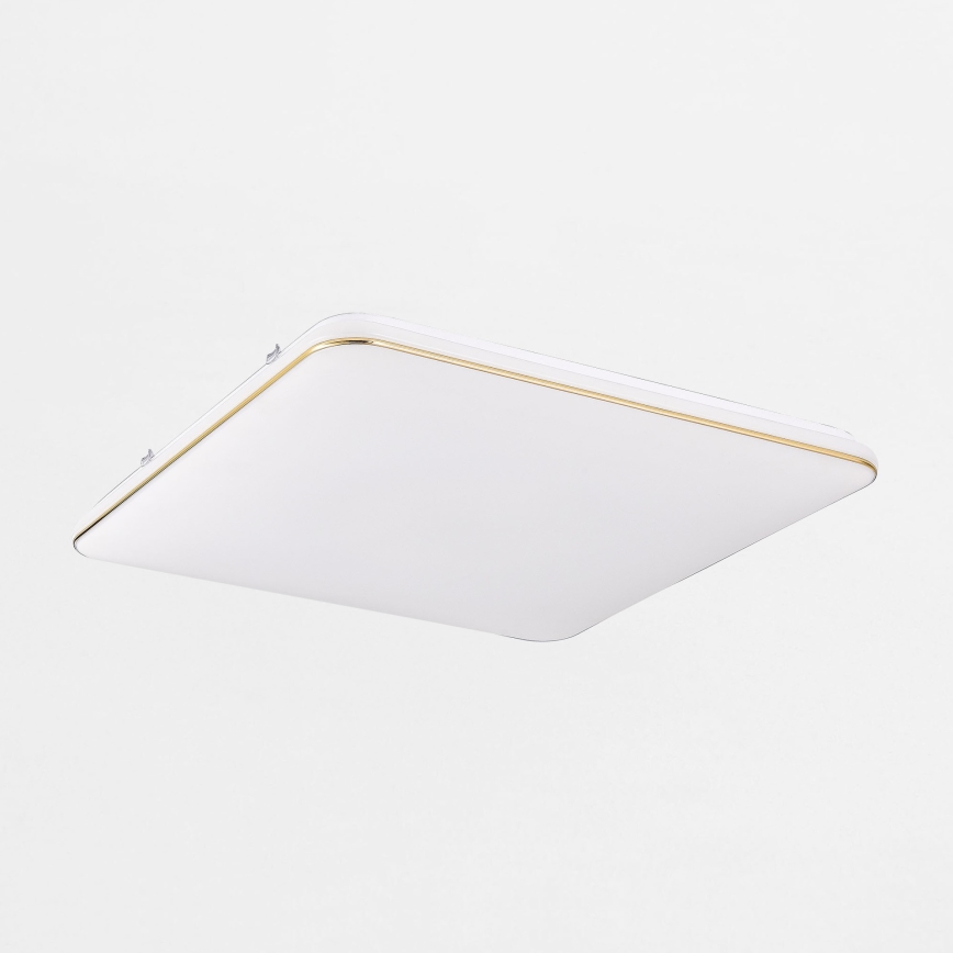 Zuma Line - LED Dimmable φωτιστικό οροφής LED/48W/230V 53x53 cm χρυσό