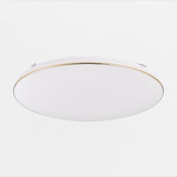 Zuma Line - LED Dimmable φωτιστικό οροφής OMAR LED/48W/230V διάμετρος 53 cm χρυσό