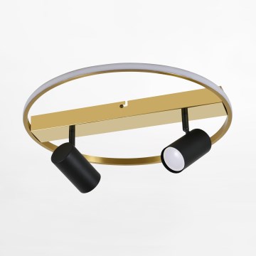Zuma Line - LED Σποτ 2xGU10/40W/230V + LED/12W χρυσό/μαύρο
