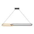 Zuma Line - LED πολυέλαιος σε ανάρτηση με καλώδιο 2xLED/40W/230V μαύρο/χρυσό