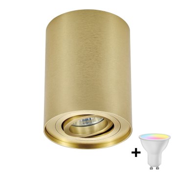 Zuma Line - LED RGBW ρυθμιζόμενο σποτ 1xGU10/4,8W/230V χρυσό + τηλεχειριστήριο
