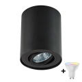 Zuma Line - LED RGBW ρυθμιζόμενο σποτ φωτιστικό 1xGU10/4,8W/230V, μαύρο + τηλεχειριστήριο