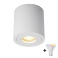 Zuma Line - LED RGBW ρυθμιζόμενο σποτ μπάνιου 1xGU10/4,8W/230V IP44 λευκό + τηλεχειριστήριο