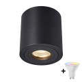 Zuma Line - LED RGBW ρυθμιζόμενο σποτ μπάνιου 1xGU10/4,8W/230V IP44 μαύρο + τηλεχειριστήριο