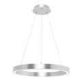 Zuma Line - LED Πολύφωτο κρεμαστό LED/30W/230V δ.40cm ασημί