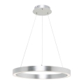 Zuma Line -LED Πολύφωτο κρεμαστό LED/40W/230V δ.50cm ασημί