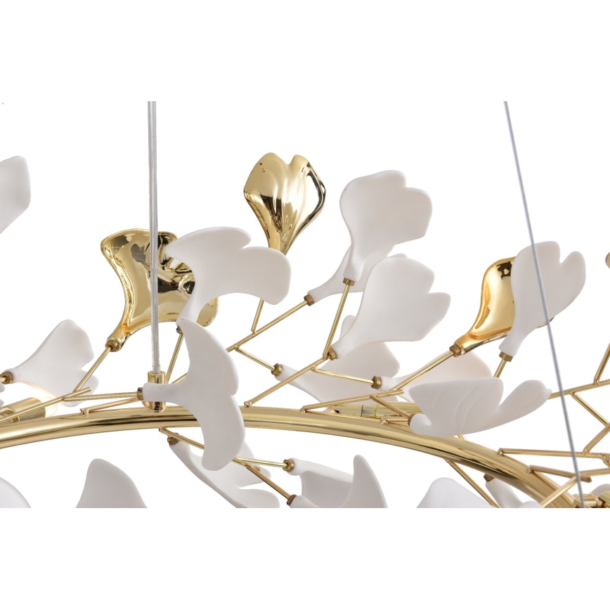 Zuma Line - Πολυέλαιος με καλώδιο 6xG9/42W/230V Ø 74 cm σε χρυσή απόχρωση