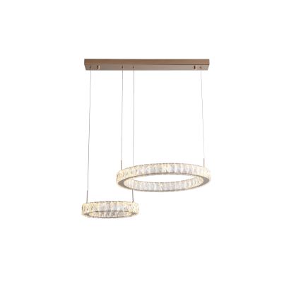 Zuma Line - Κρεμαστό φωτιστικό LED σε καλώδιο LED/36W/230V ροζ χρυσό