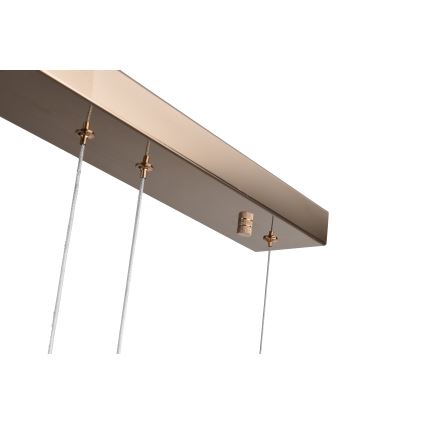 Zuma Line - Κρεμαστό φωτιστικό LED σε καλώδιο LED/36W/230V ροζ χρυσό