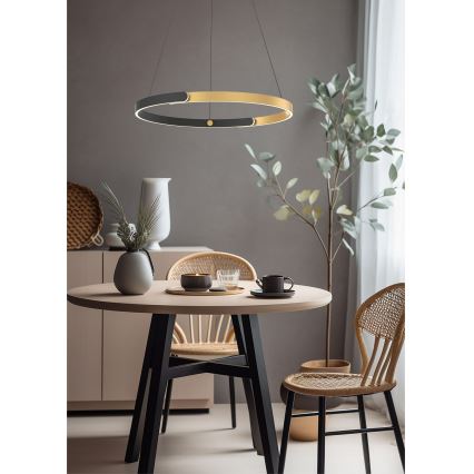 Zuma Line - Led Dimmable κρεμαστό φωτιστικό οροφής LED/30W/230V μαύρο/χρυσαφί