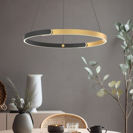 Zuma Line - Led Dimmable κρεμαστό φωτιστικό οροφής LED/30W/230V μαύρο/χρυσαφί