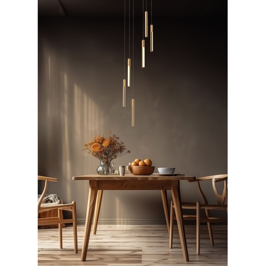 Zuma Line - Ρυθμιζόμενο LED φωτιστικό οροφής με καλώδιο LED/25W/230V