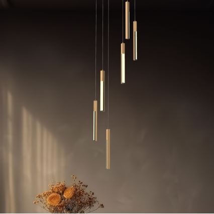 Zuma Line - Ρυθμιζόμενο LED φωτιστικό οροφής με καλώδιο LED/25W/230V