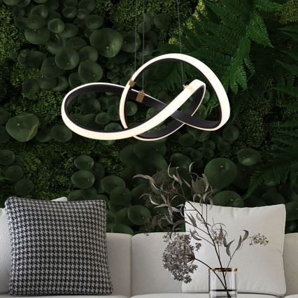 Zuma Line - Ρυθμιζόμενο LED φωτιστικό οροφής με καλώδιο LED/44W/230V μαύρο/χρυσό