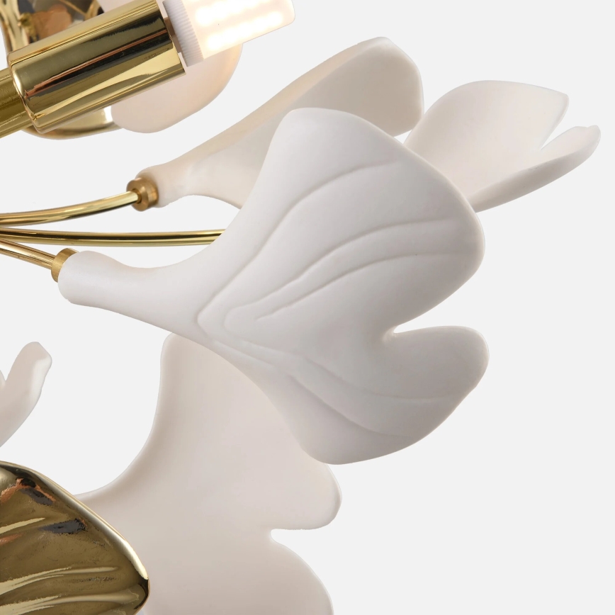 Zuma Line - Επιφανειακός πολυέλαιος οροφής 6xG9/42W/230V διάμ. 70 εκ. χρυσός