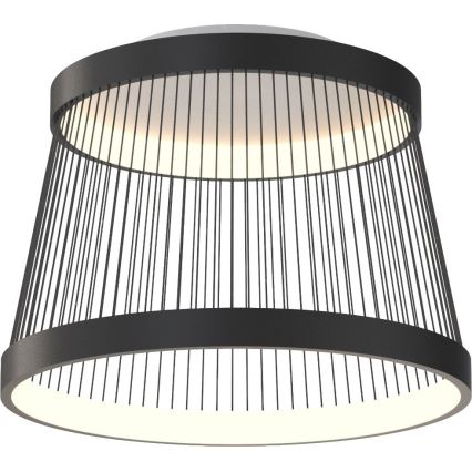 Zuma Line - LED Dimmable φωτιστικό οροφής LED/32W/230V 2700-6000K μαύρο + τηλεχειριστήριο