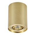 Zuma Line - Σποτ φωτιστικό 1xGU10/50W/230V χρυσό