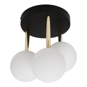 Zuma Line - Πλαφονιέρα οροφής 3xG9/40W/230V