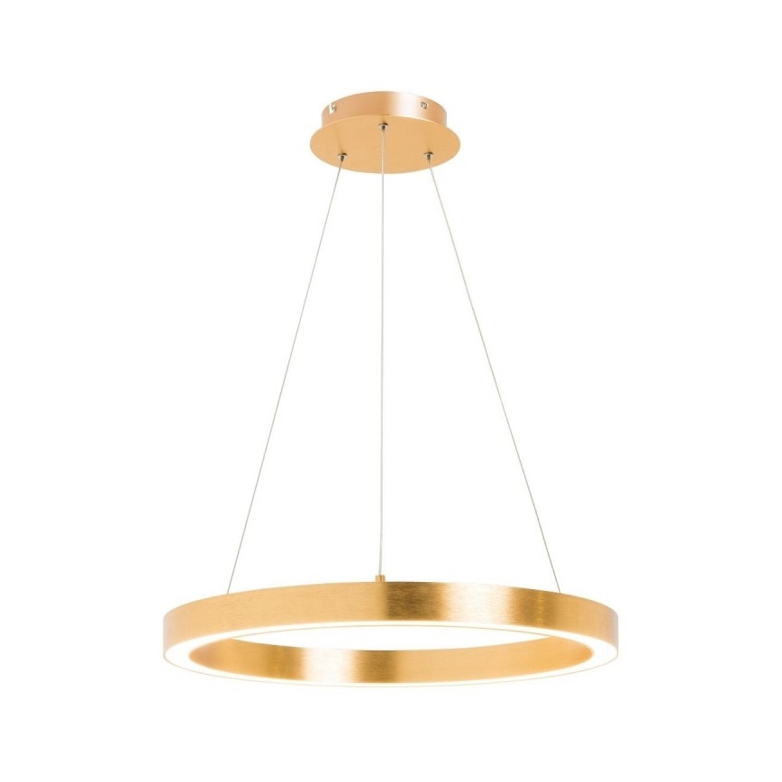 Zuma Line - LED Πολύφωτο κρεμαστό  1xLED/30W/230V 40 cm χρυσό