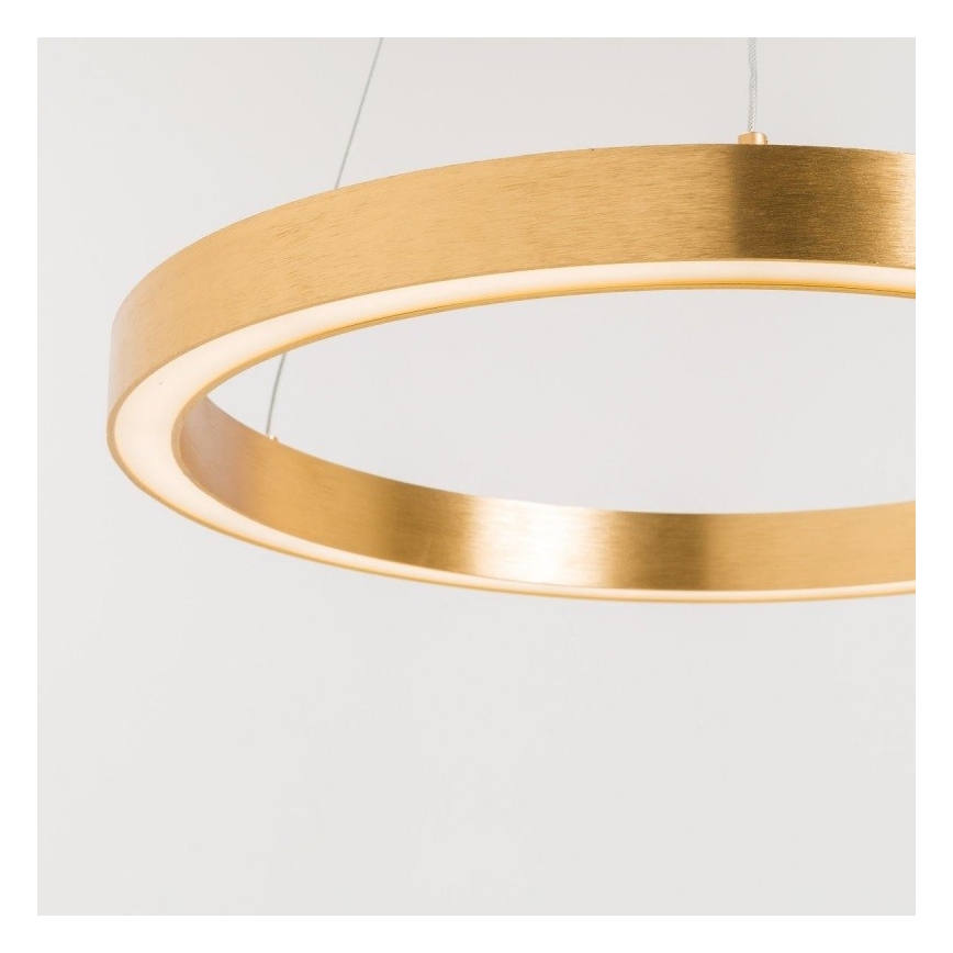 Zuma Line - LED Πολύφωτο κρεμαστό  1xLED/30W/230V 40 cm χρυσό