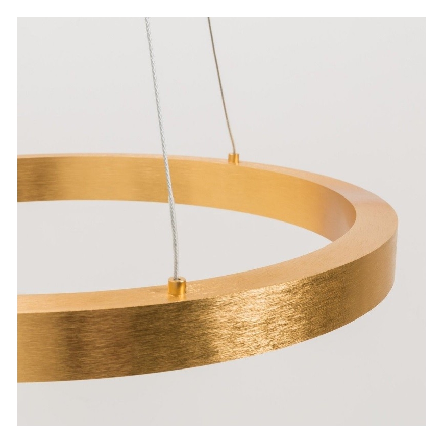 Zuma Line - LED Πολύφωτο κρεμαστό 1xLED/40W/230V δ. 50 cm χρυσό